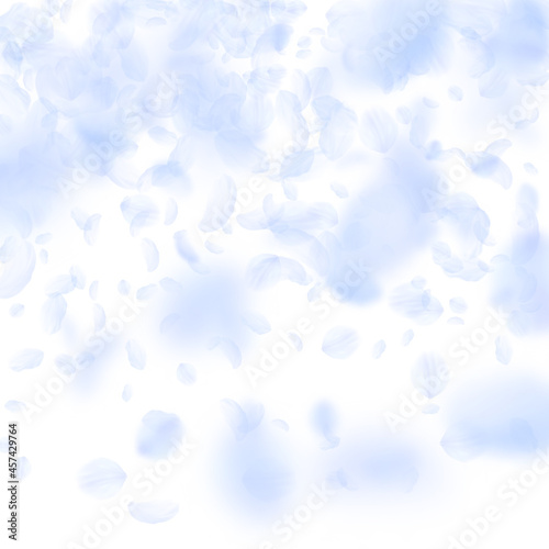 Light blue flower petals falling down. Bizarre rom