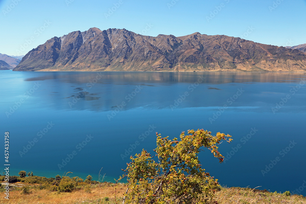 Bush and Hawea Lake - New Zealand Bush and Hawea Lake - New Zealand