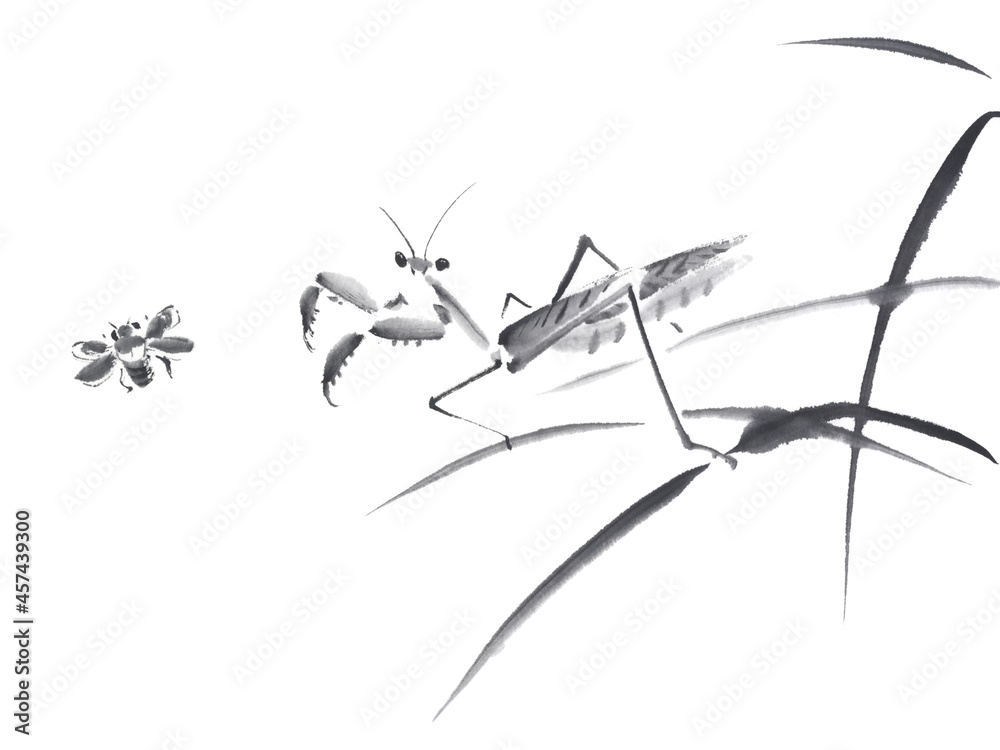 虫を狙うカマキリ 墨絵イラスト Stock Illustration Adobe Stock
