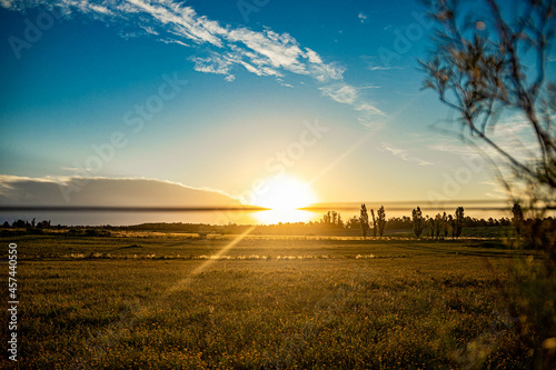 sunset in the field