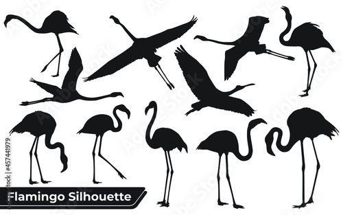 Collection of Bird Flamingo silhouettes in different positions
