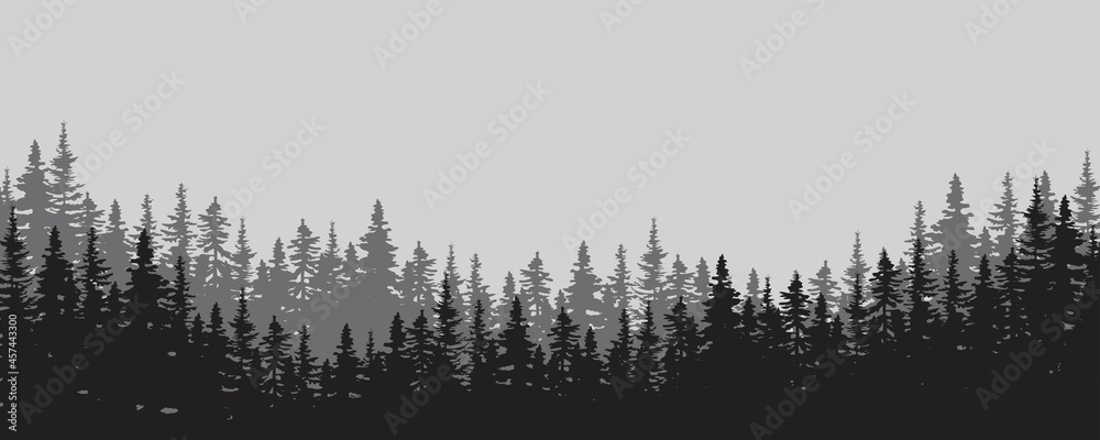 Mist valley. Trees silhouette. Nature landscape. Environment background. Decor art. Vector illustration. Stock image.