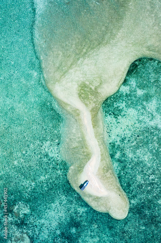 Aerial drone view taken in bird eye abstract mode of a fishing boat anchored along a white sand beach island and surrounded by a blue coral lagoon and located in Gili Putih Suberkima in Bali in Indone
