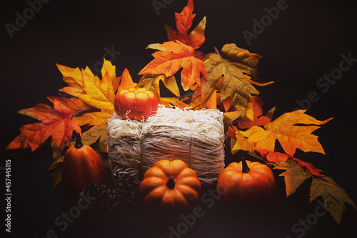 autumn leaves on the ground