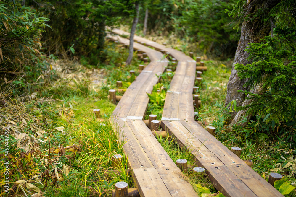 秋の紅葉が始まった栂池自然園の展望台までトレッキングしている風景 A view of trekking to the observatory of Tsugaike Nature Park, where the autumn leaves have started to change color. 秋の紅葉が始まった栂池自然園の展望台までトレッキングしている風景 A view of trekking to the observatory of Tsugaike Nature Park, where the autumn leaves have started to change color.