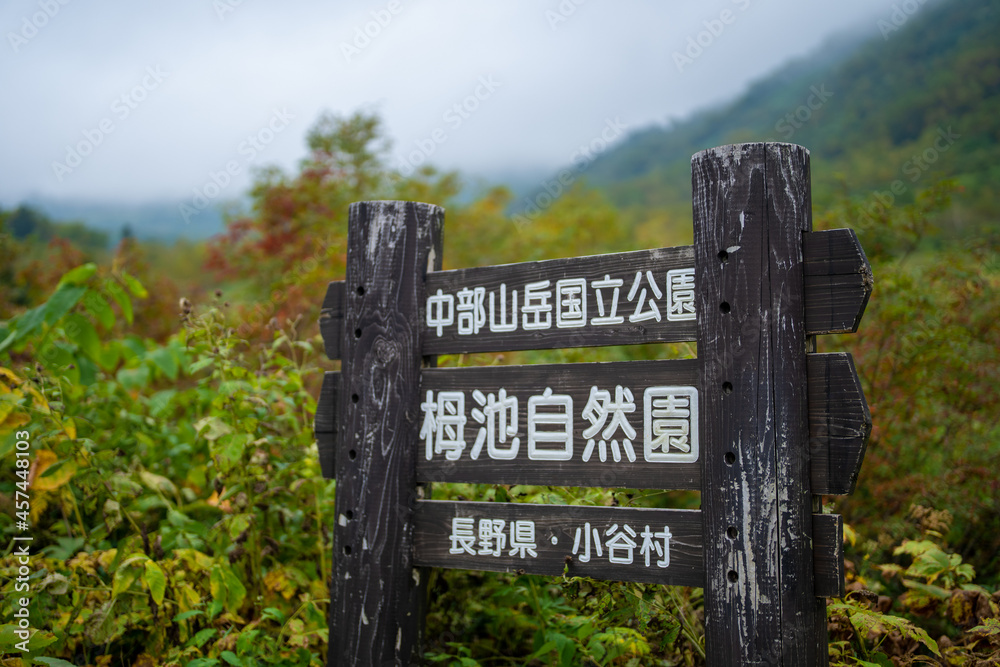 秋の紅葉が始まった栂池自然園の展望台までトレッキングしている風景 A view of trekking to the observatory of Tsugaike Nature Park, where the autumn leaves have started to change color. 秋の紅葉が始まった栂池自然園の展望台までトレッキングしている風景 A view of trekking to the observatory of Tsugaike Nature Park, where the autumn leaves have started to change color.