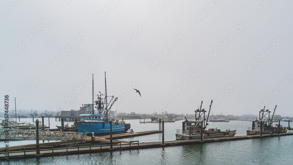 Fishing trawlers at dock in foggy weather in a marina and gull in sky