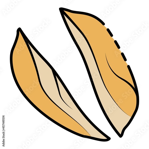 Cutted peanut icon. Outline cutted peanut vector icon color flat isolated on white