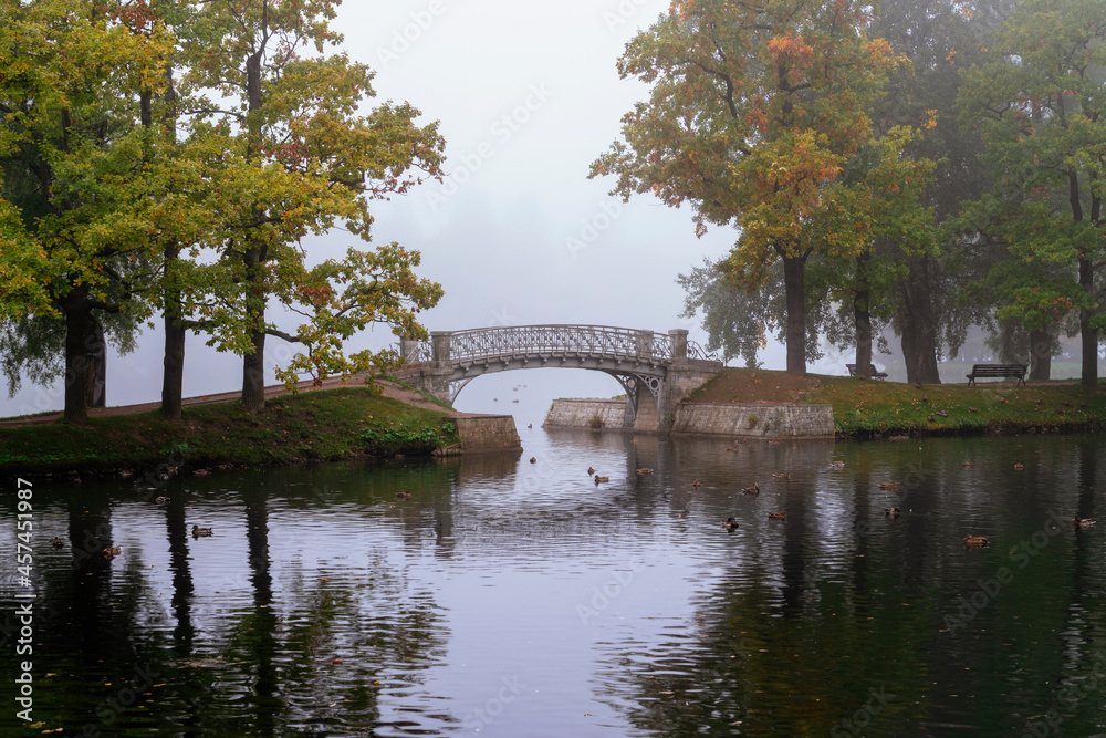 View of the cast-iron openwork bridge across the water maze channel near the White Lake in the Gatchina Palace and Park Complex on an autumn foggy morning, Gatchina, St. Petersburg, Russia View of the cast-iron openwork bridge across the water maze channel near the White Lake in the Gatchina Palace and Park Complex on an autumn foggy morning, Gatchina, St. Petersburg, Russia