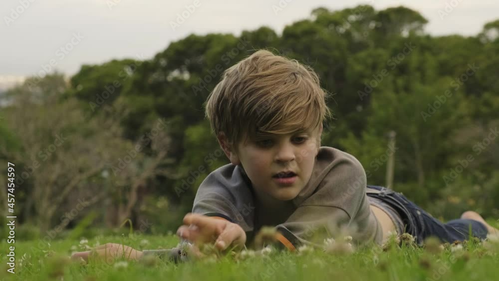 Single carefree bored child lying down on hillside grass pulling wild dandelion flowers from ground Single carefree bored child lying down on hillside grass pulling wild dandelion flowers from ground