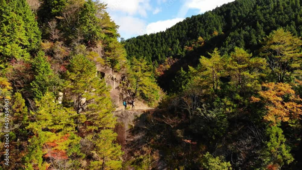 Aerial drone, hikers walk through clearing amongst forested hillside, Kumano Kodo Japan