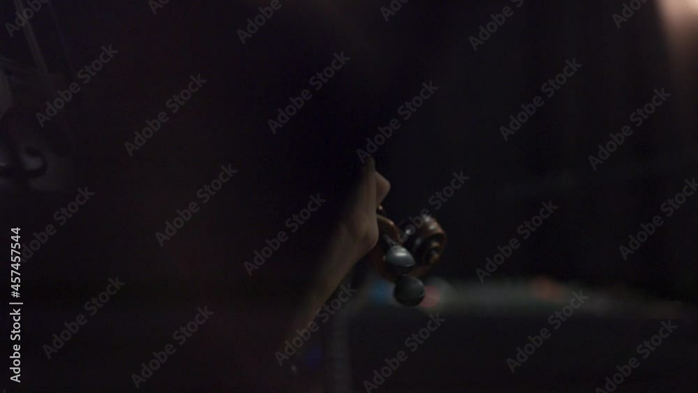 Female Professional Musician Playing On Violin At Philharmonic In Bokeh Backdrop. - Selective Focus Female Professional Musician Playing On Violin At Philharmonic In Bokeh Backdrop. - Selective Focus