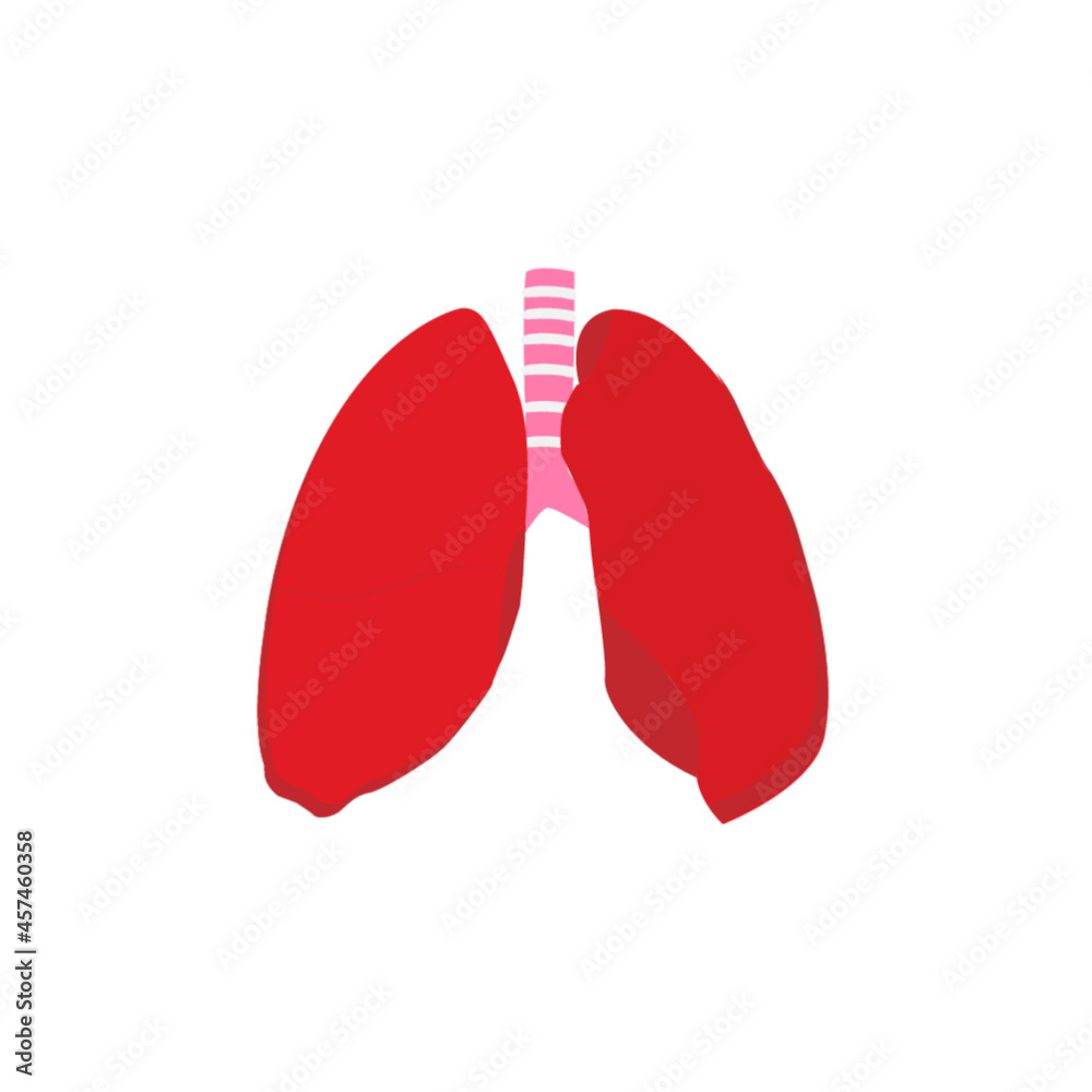 Lungs Lungs