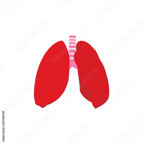 Lungs