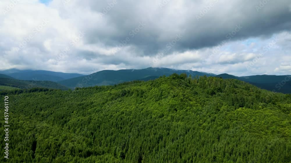 Mountains forest the flight of the drone Ukraine Carpathians coniferous Trees landscape panorama Mountains forest the flight of the drone Ukraine Carpathians coniferous Trees landscape panorama