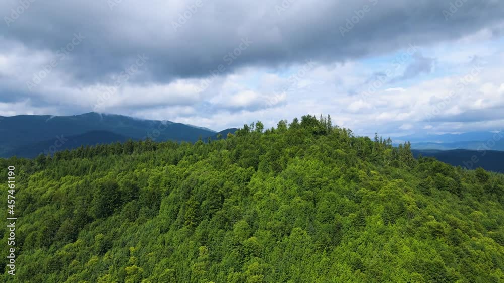 Mountains forest the flight of the drone Ukraine Carpathians coniferous Trees landscape panorama Mountains forest the flight of the drone Ukraine Carpathians coniferous Trees landscape panorama