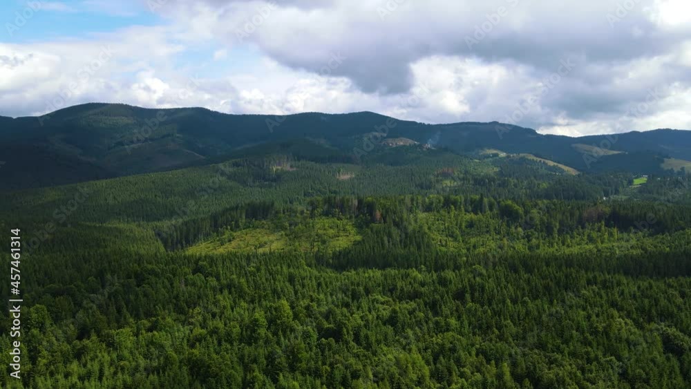 Mountains forest the flight of the drone Ukraine Carpathians coniferous Trees landscape panorama Mountains forest the flight of the drone Ukraine Carpathians coniferous Trees landscape panorama