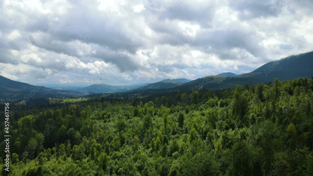 Mountains forest the flight of the drone Ukraine Carpathians coniferous Trees landscape panorama Mountains forest the flight of the drone Ukraine Carpathians coniferous Trees landscape panorama