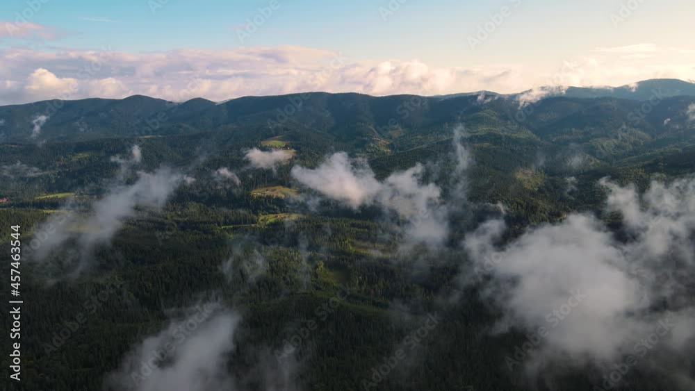 Rainy weather in mountains. Misty fog blowing over pine tree forest. Aerial footage of spruce forest trees on the mountain hills at misty day. Morning fog at beautiful autumn forest. Rainy weather in mountains. Misty fog blowing over pine tree forest. Aerial footage of spruce forest trees on the mountain hills at misty day. Morning fog at beautiful autumn forest.