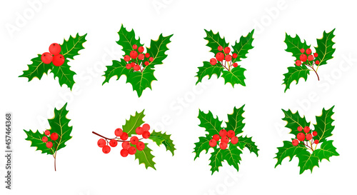 Vector illustration of holly branches. Set of mistletoe.Sprigs of holly with red berries and green leaves. Vector
