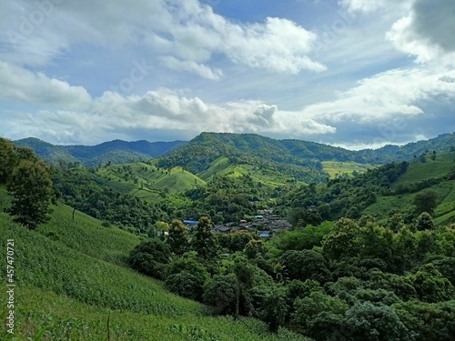 greenery Forest in Lampang, Thailand