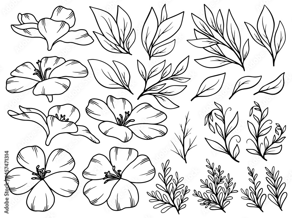 Obraz premium Hand drawn flower sketch line art illustration set.