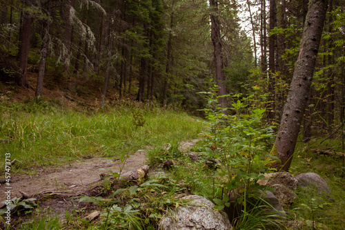 Walks in the autumn reserve. The trail through the nature reserve in the autumn forest