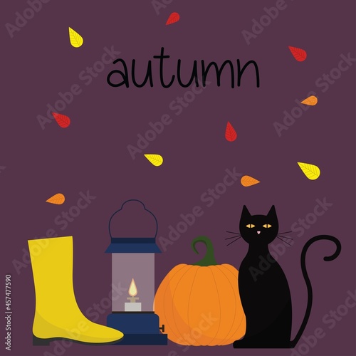 Vector set of autumn items.