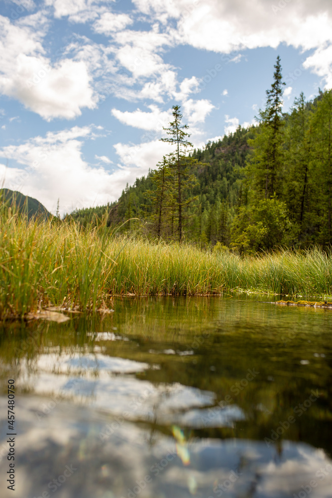 photograph of a gurgling stream, taken close to water and grass growing along the water against the background of mountains and sky with clouds, mountain altai russia
