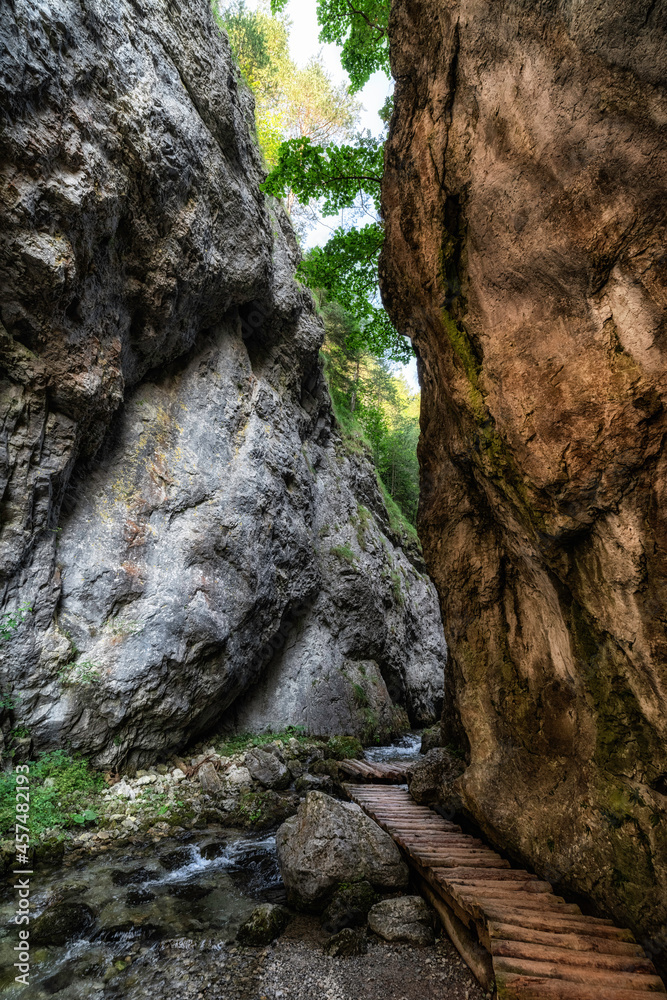 Walking trail in rocky canyon. Prosiecka valley in Slovakia Walking trail in rocky canyon. Prosiecka valley in Slovakia