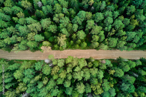 Straight forest road in mixed bright green forest, right angle aerial view