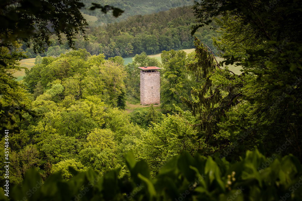 Obraz premium Alte Burgruine mitten im Wald, Späher-Sicht 