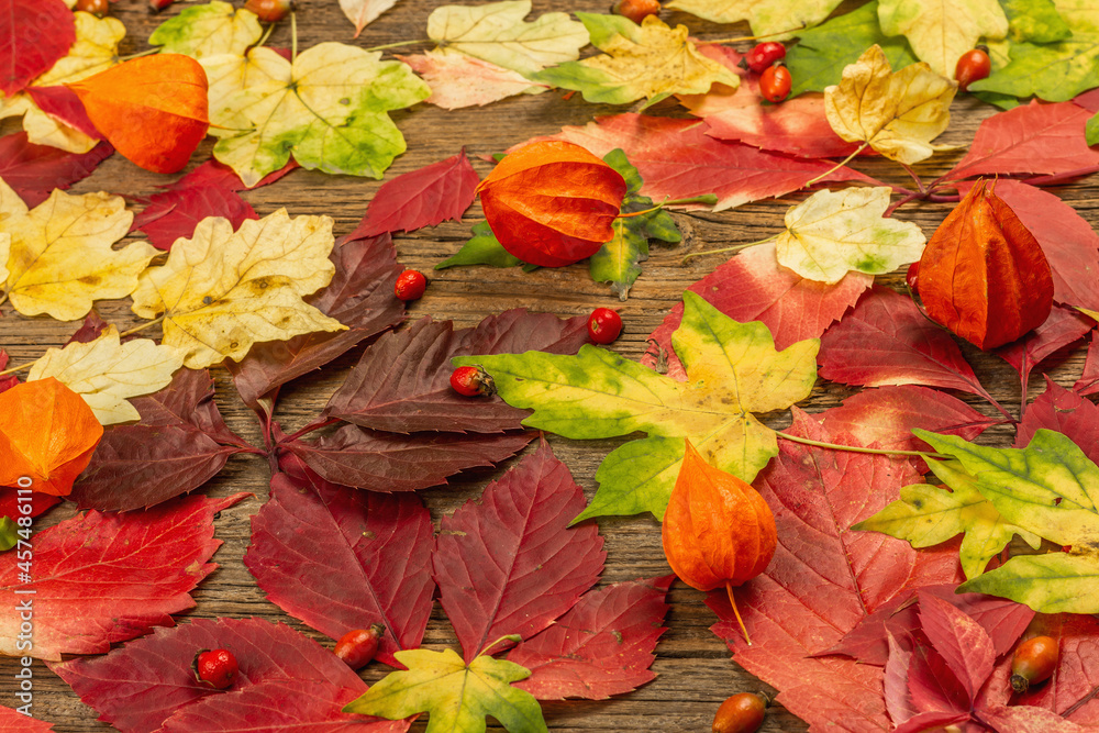 Colorful fall leaves on old wooden boards Colorful fall leaves on old wooden boards
