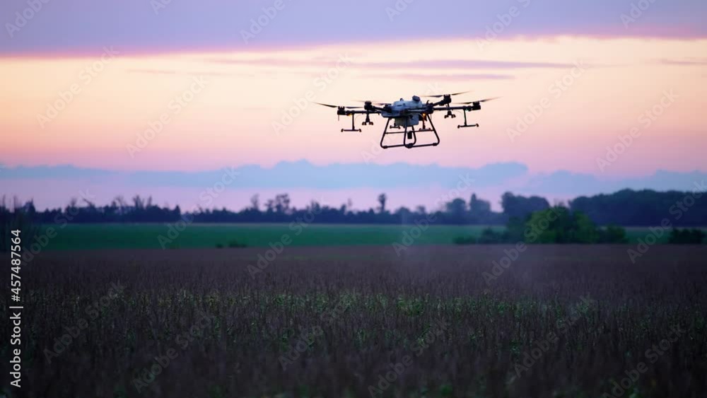 Agro copter works in the field, introduces 33p pesticides. Corn rye and wheat in the field. An agricultural drone aerial vehicle sprays a field at sunset. Agro copter works in the field, introduces 33p pesticides. Corn rye and wheat in the field. An agricultural drone aerial vehicle sprays a field at sunset.