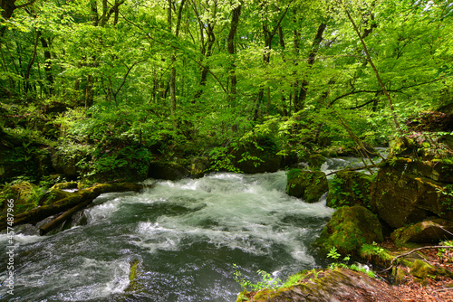 Water stream of Oirase Gorge in Aomori, Japan