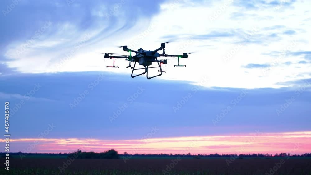 Agro copter works in the field, introduces 33p pesticides. Corn rye and wheat in the field. An agricultural drone aerial vehicle sprays a field at sunset. Agro copter works in the field, introduces 33p pesticides. Corn rye and wheat in the field. An agricultural drone aerial vehicle sprays a field at sunset.
