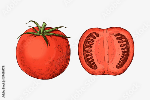 Organic freshly cut tomato vector