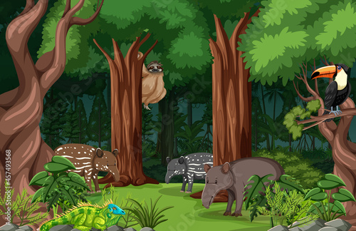 Fototapeta Naklejka Na Ścianę i Meble -  Wild animals in forest landscape background