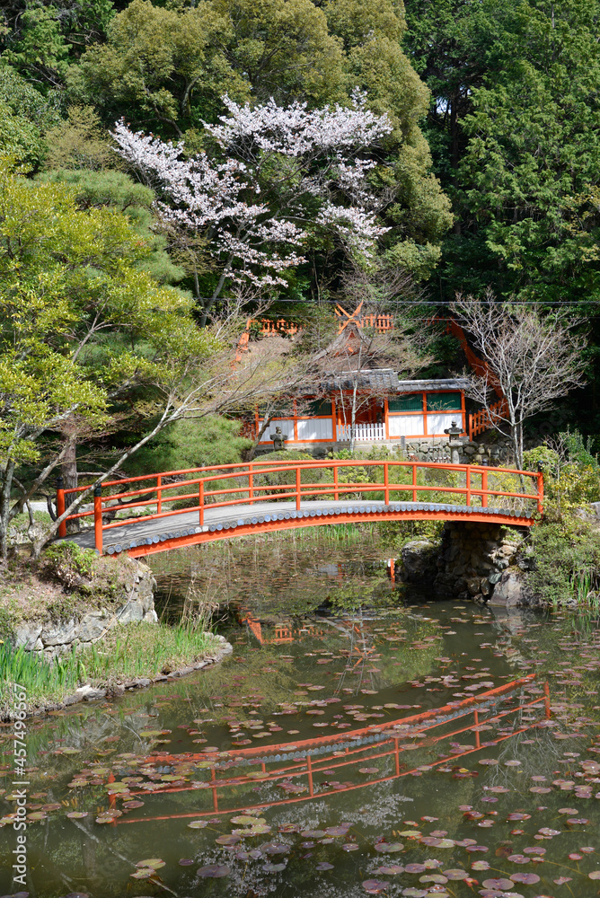 Fototapeta premium 大原野神社 鯉沢池 京都市西京区