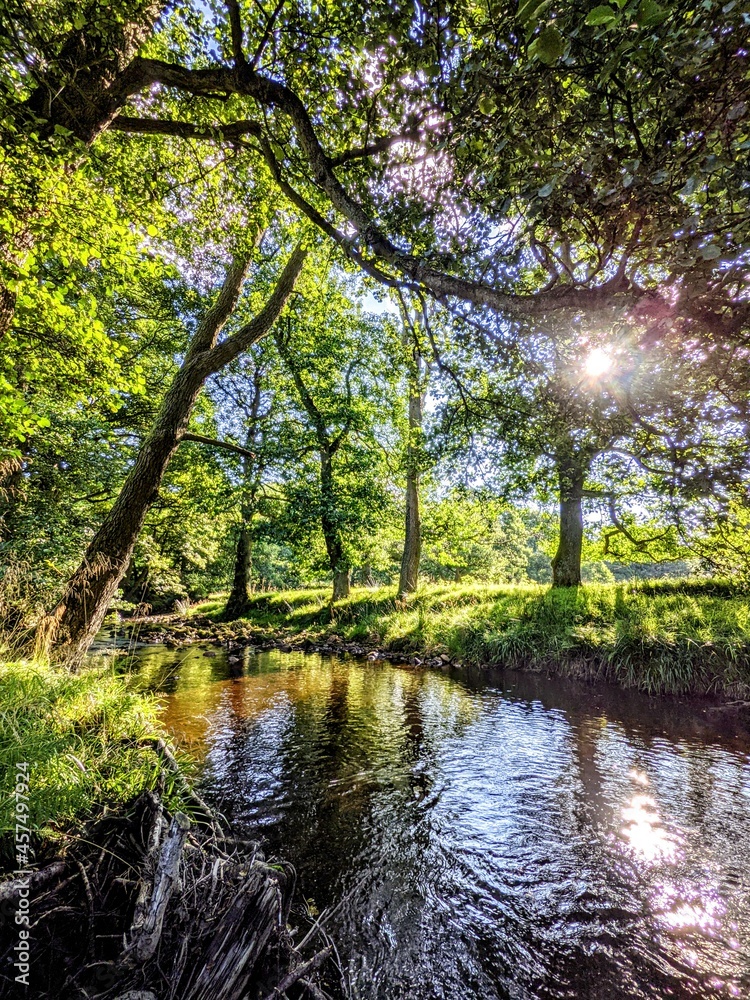Sunny morning on the River Ure, North Yorkshire, UK.