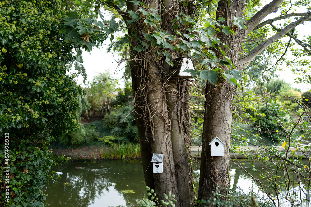 Trio of home made small wooden bird houses seen at a nearby riverbank within a private garden. Trio of home made small wooden bird houses seen at a nearby riverbank within a private garden.