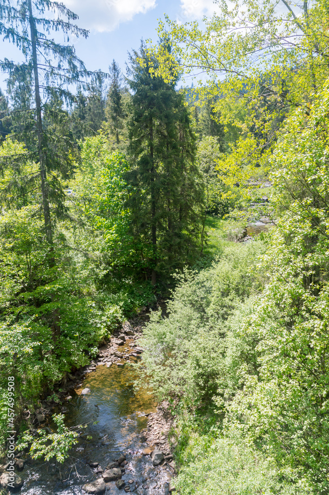 Czarna Wiselka - the source stream of the Vistula River. Czarna Wiselka - the source stream of the Vistula River.