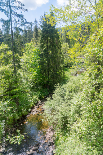 Czarna Wiselka - the source stream of the Vistula River.