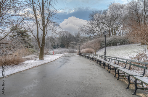 Central Park in winter  after snow storm © John Anderson