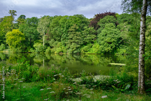 Beautiful landscape of trees foliage and the Fish Pond  in the area of the Harewood House Trust in West Yorkshire in the United Kingdom photo