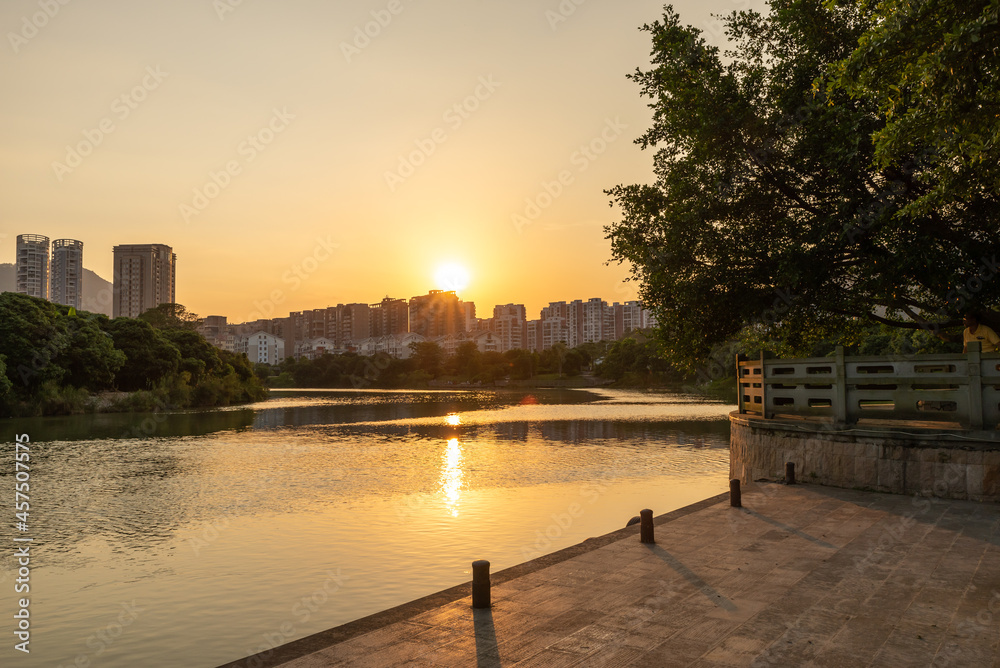 Trees and rivers in the park at sunset