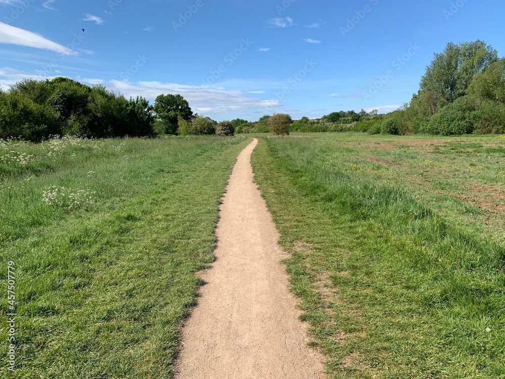 Dirt path through fields and trees Dirt path through fields and trees