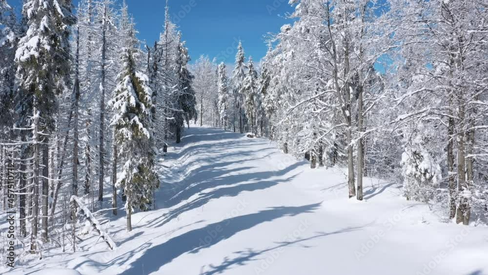 Flying along the path in fabulous winter forest. Ukraine, Carpathian Mountains Flying along the path in fabulous winter forest. Ukraine, Carpathian Mountains