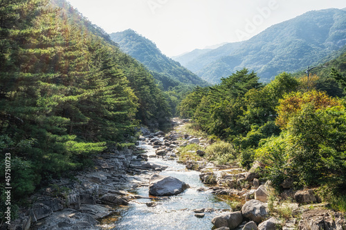 Mureung valley creek