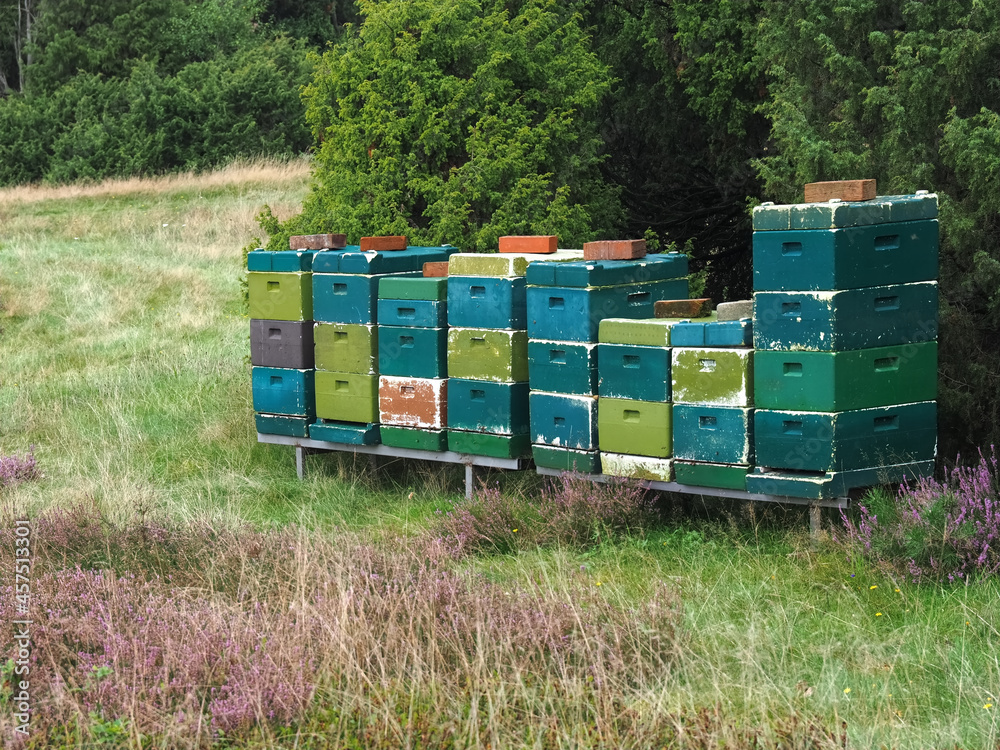 Colorful beehives with flying honey bees Colorful beehives with flying honey bees